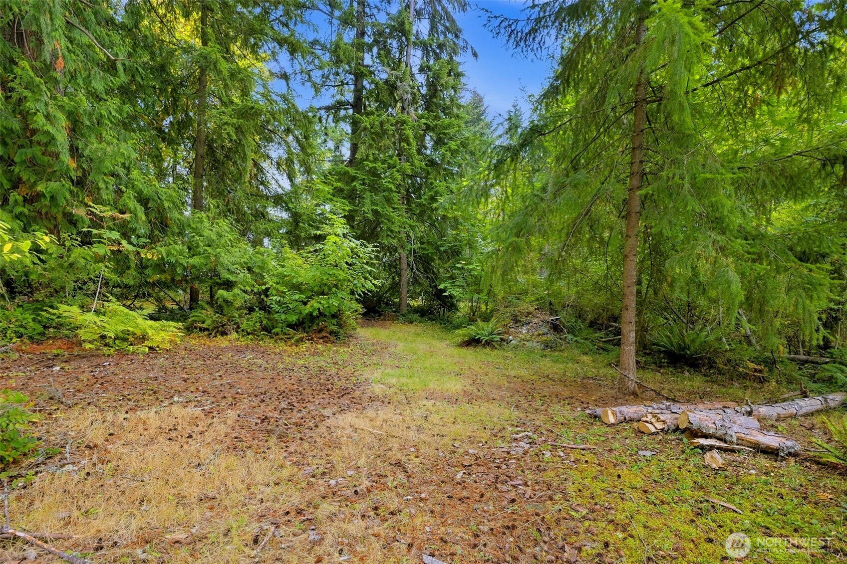 7433 207th Avenue Property Photo 3