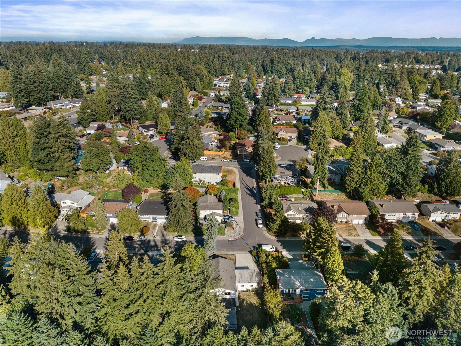 13701 115th Avenue Property Photo 35