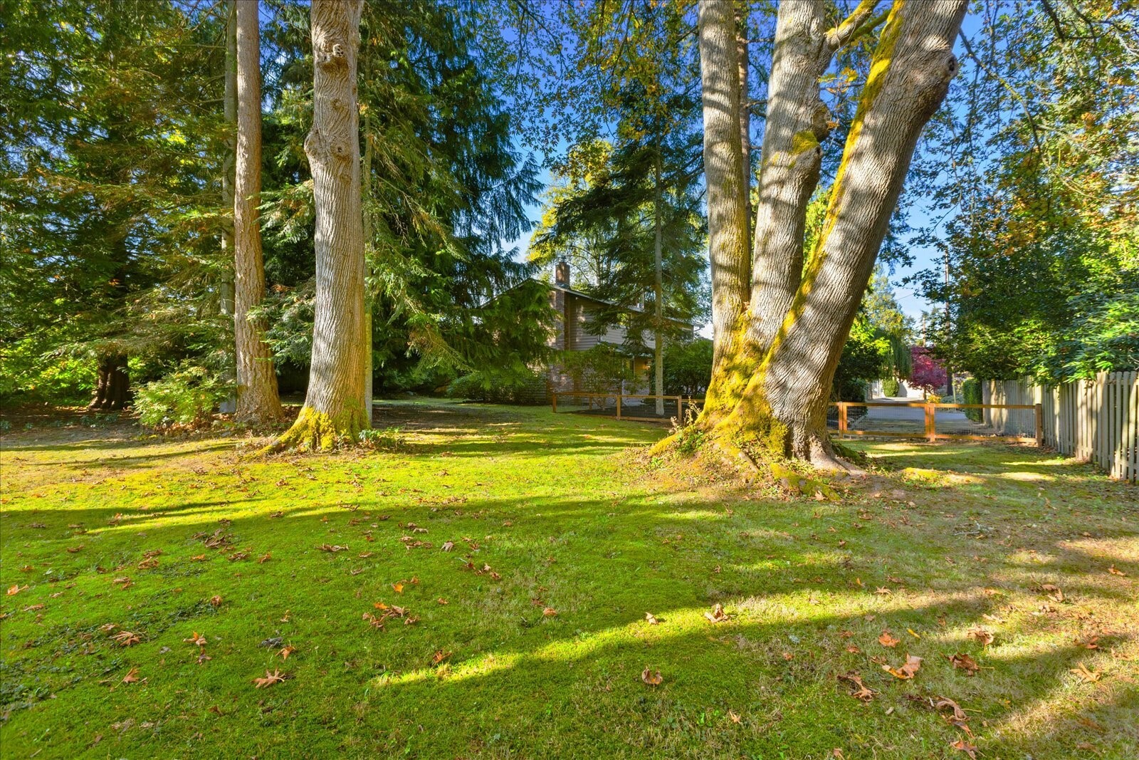 8608 184th Street Property Photo 31