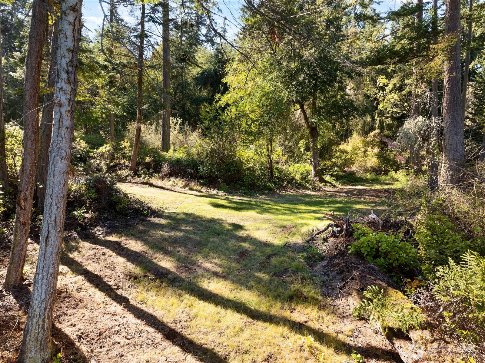 0 Luna Lane Property Photo 13