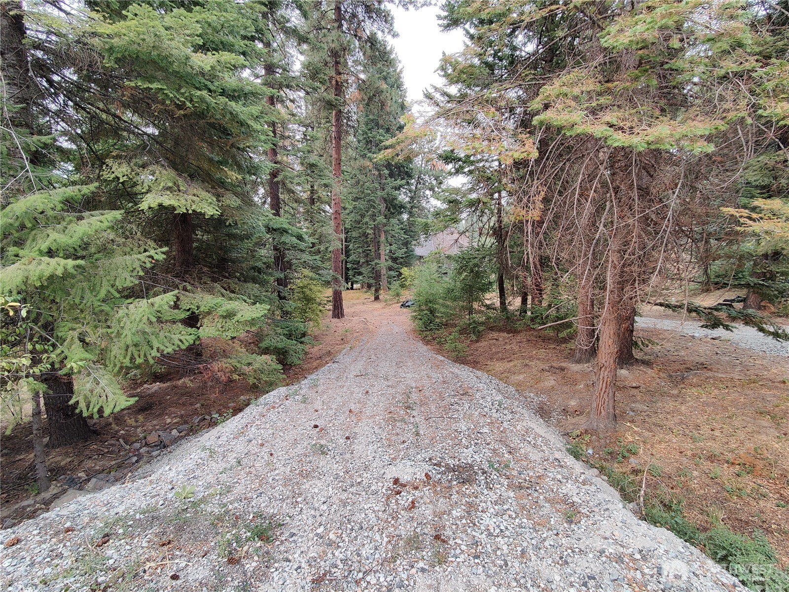 3080 Fircrest Property Photo 1