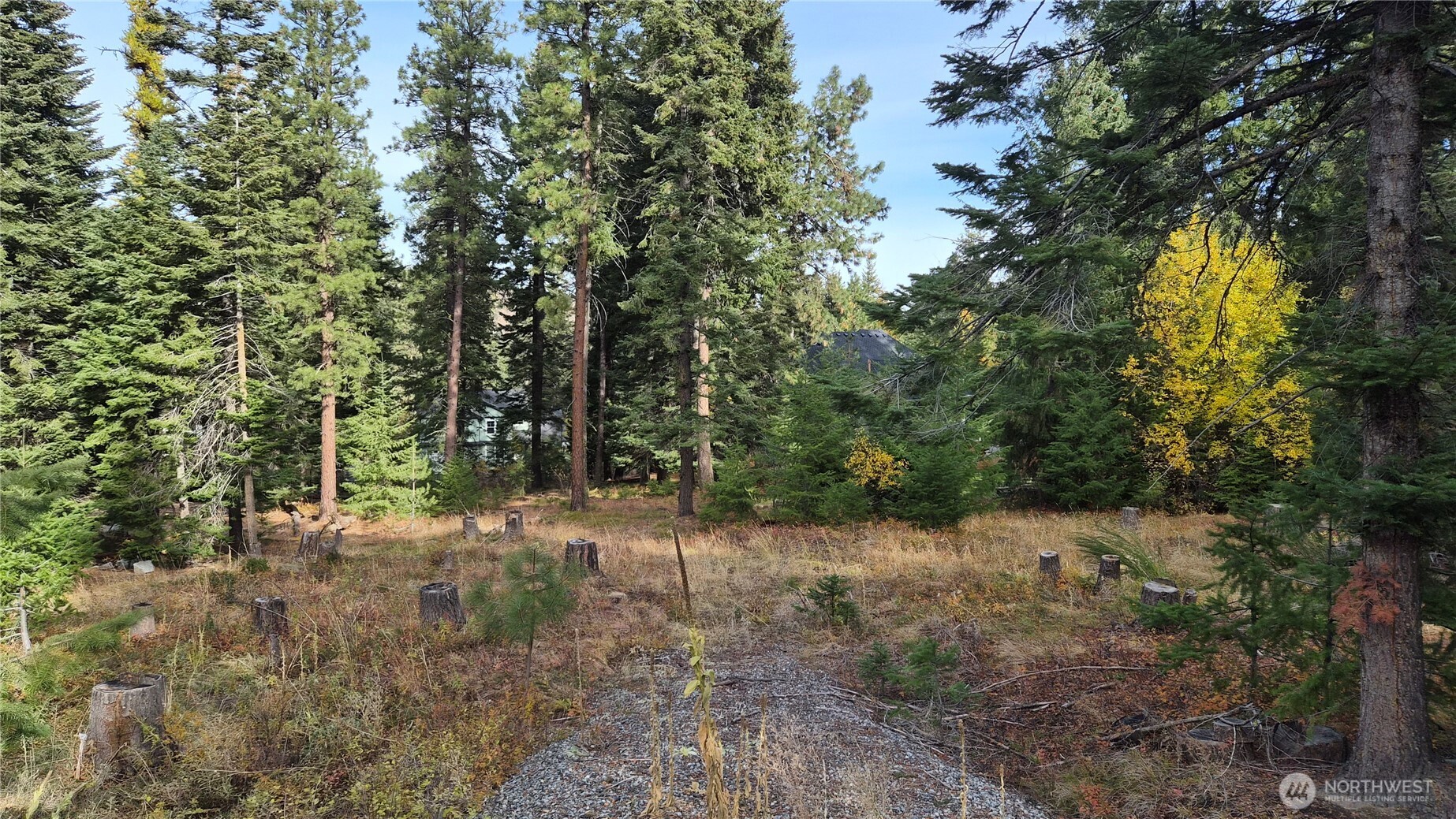 3080 Fircrest Property Photo 2
