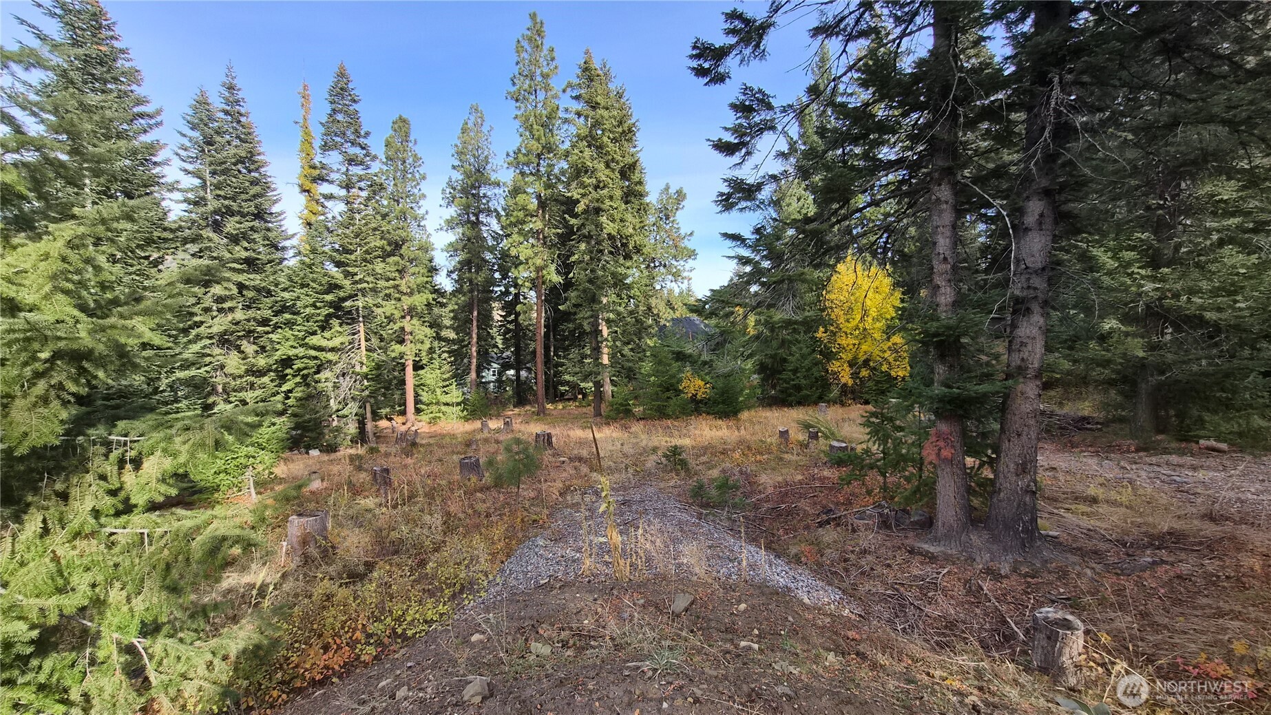 3080 Fircrest Property Photo 3