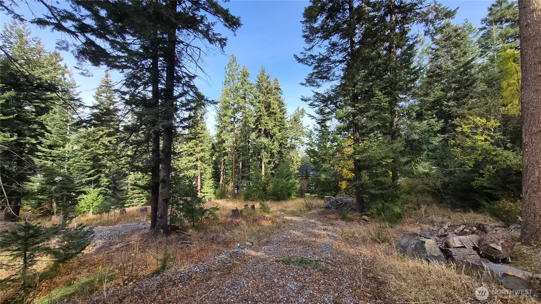 3080 Fircrest Property Photo 4