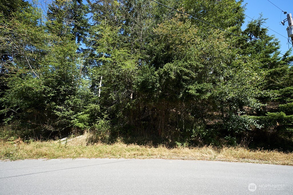 2 & 3 Lot Sycamore Road Property Photo 1