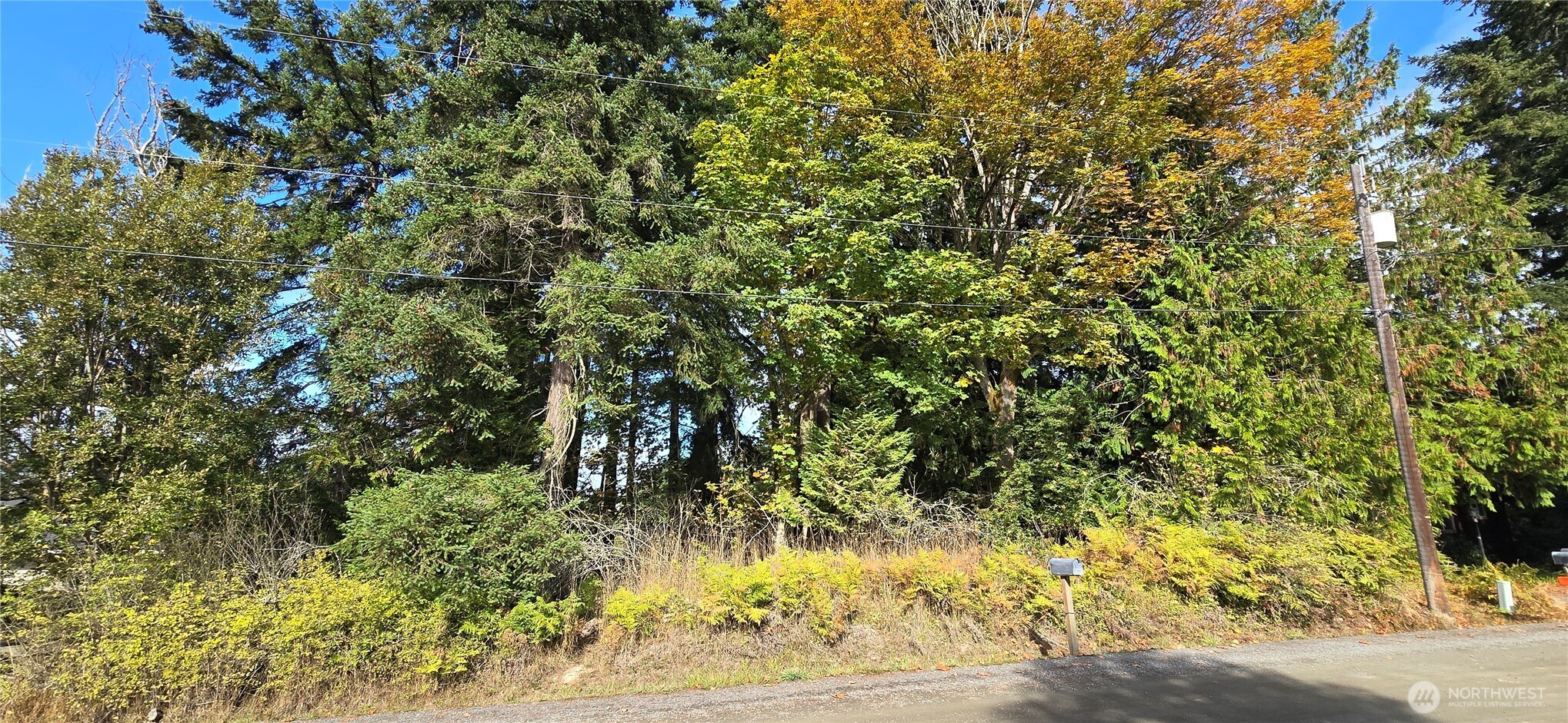 22 Rose Property Photo 1