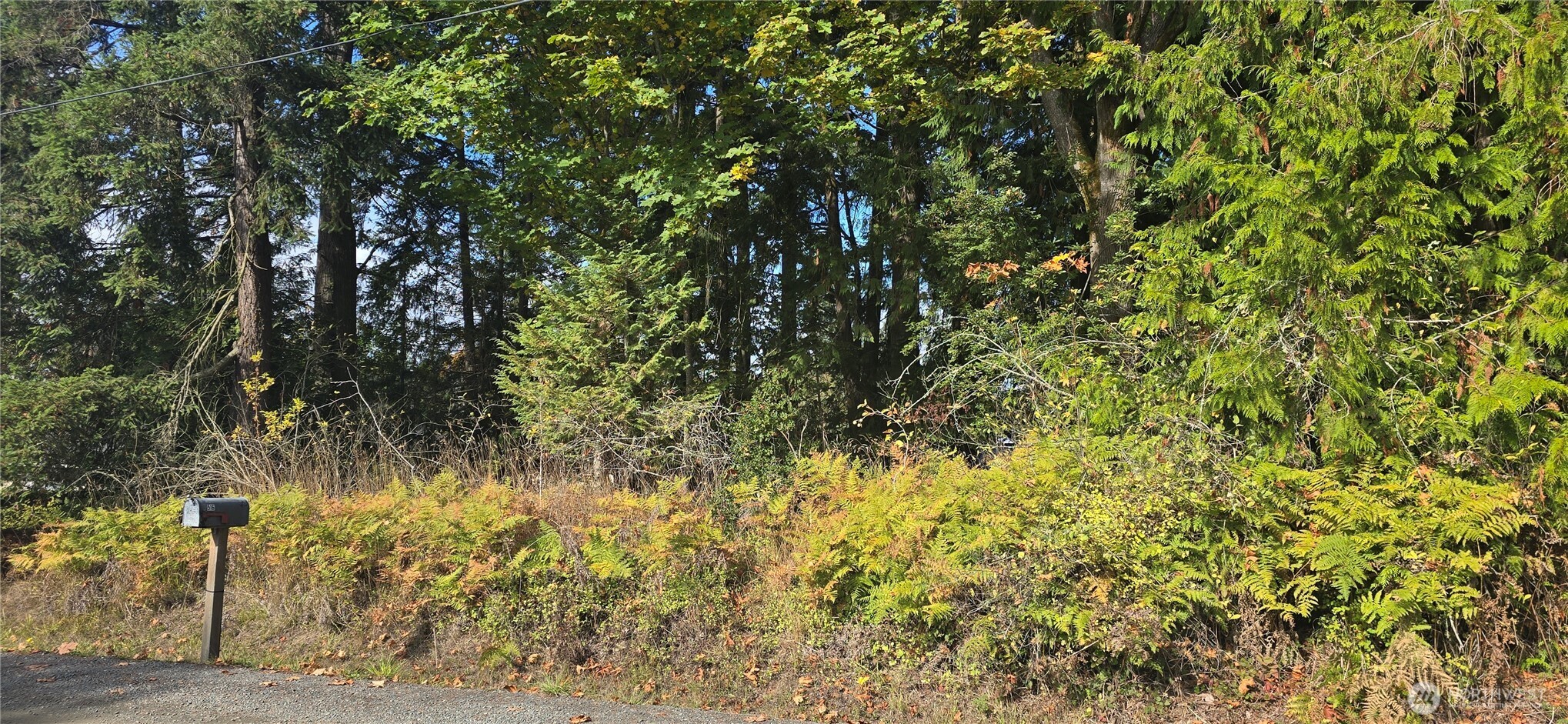 22 Rose Property Photo 2