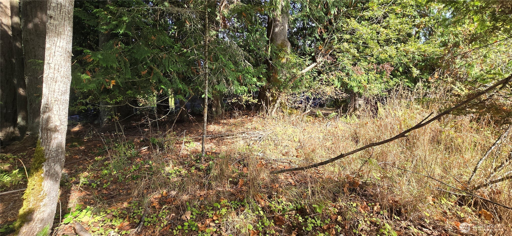22 Rose Property Photo 4
