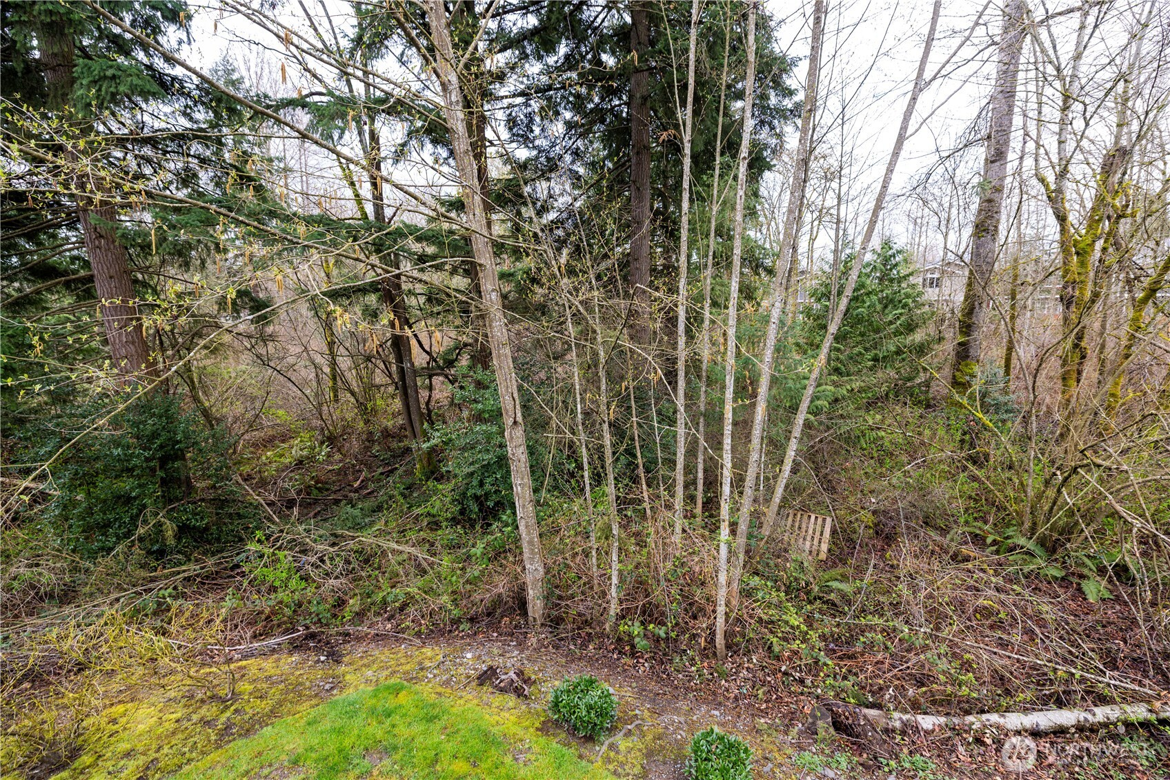 11556 170th Court Property Photo 22