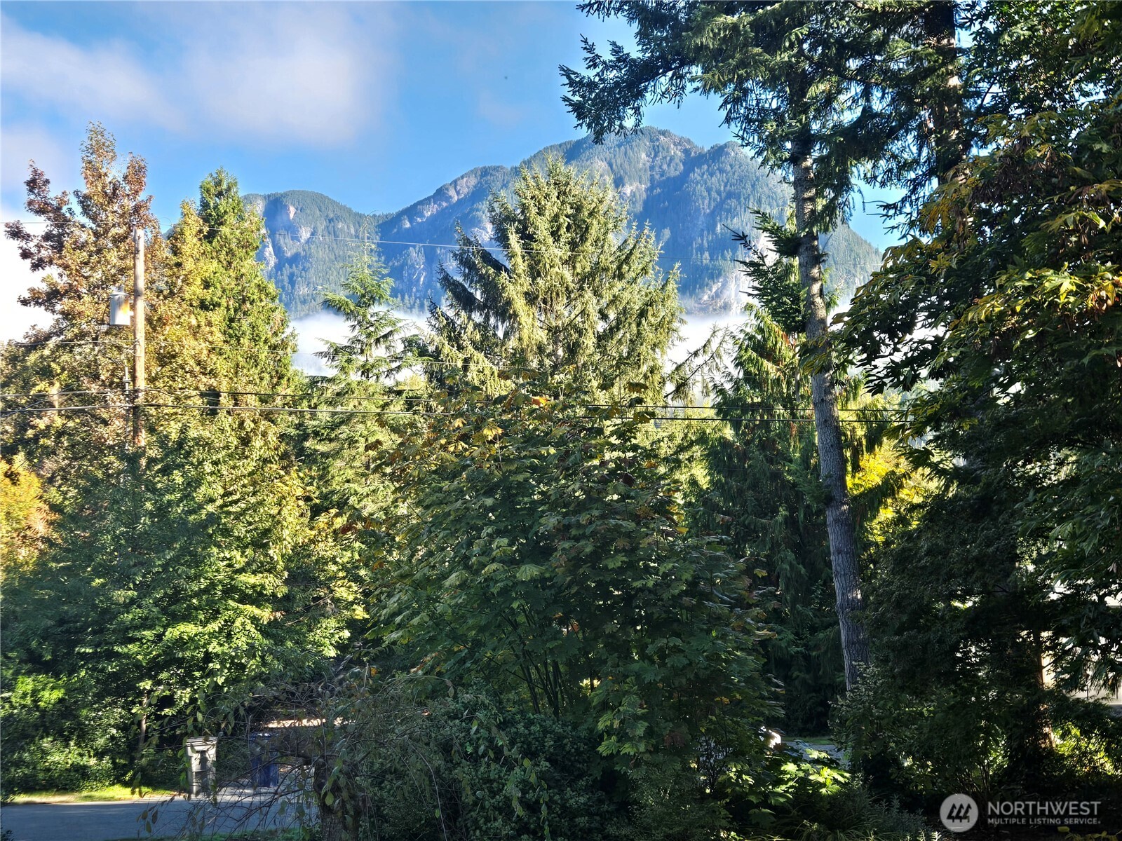 44512 Fir Road Property Photo 31