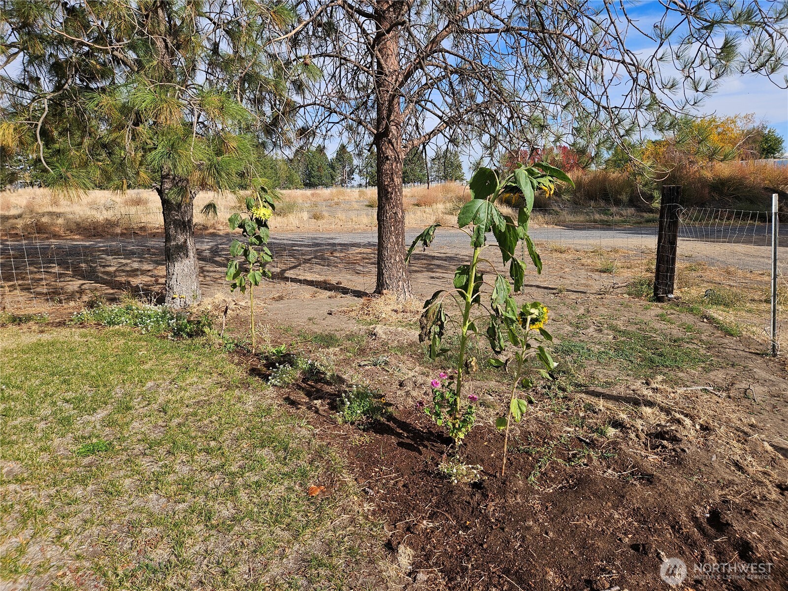 9342 J.4 Road Property Photo 16