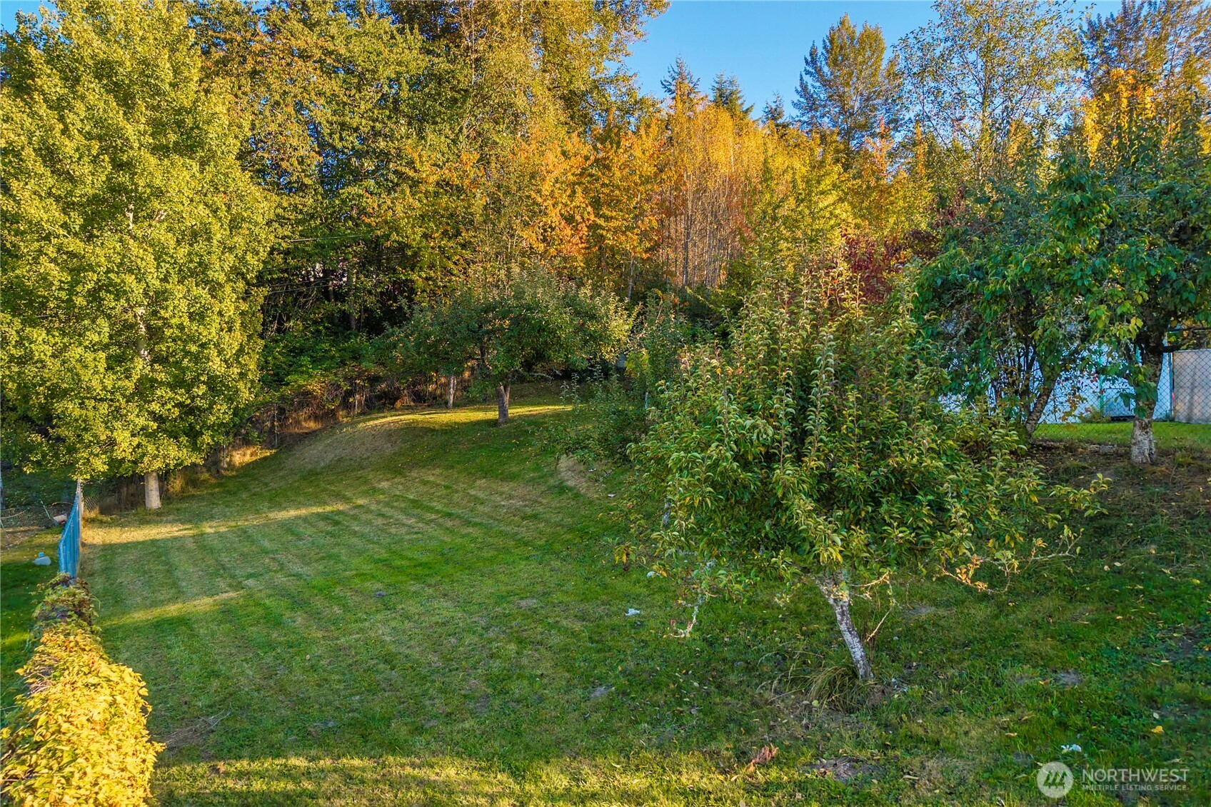 545 Eatonville Highway Property Photo 4