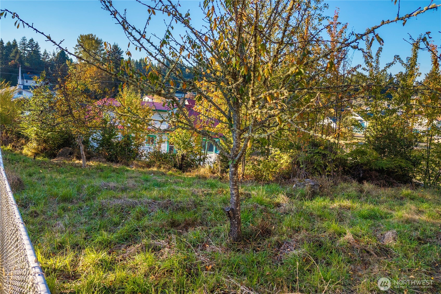 545 Eatonville Highway Property Photo 7
