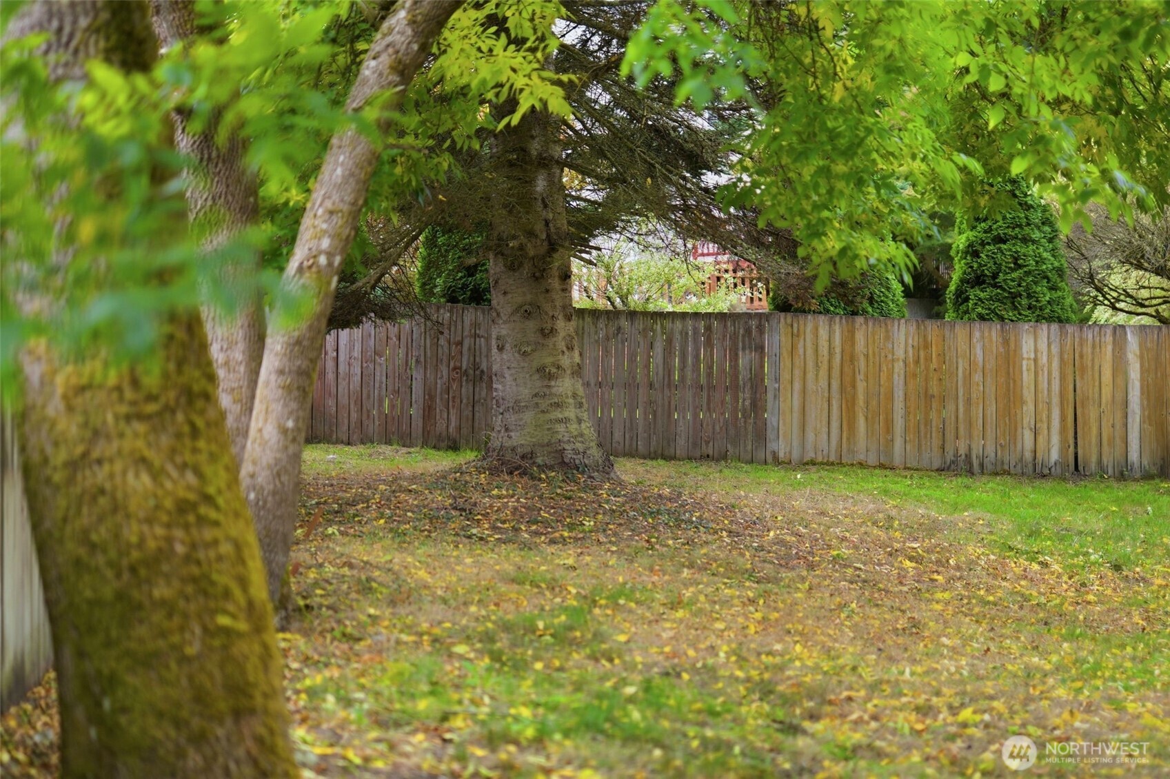 1309 Scarlet Oak Drive Property Photo 37