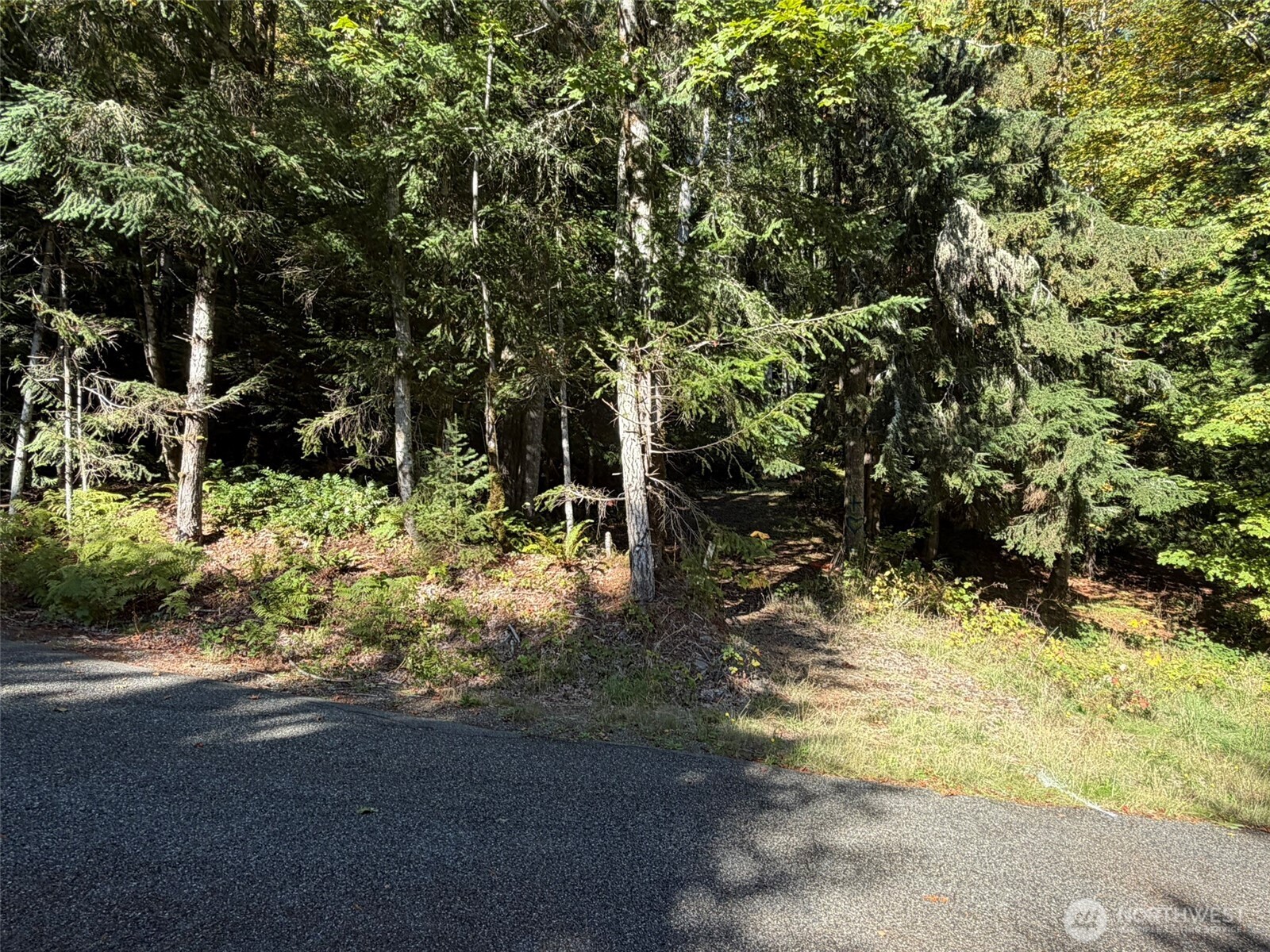 420 Arabian Drive Property Photo 1