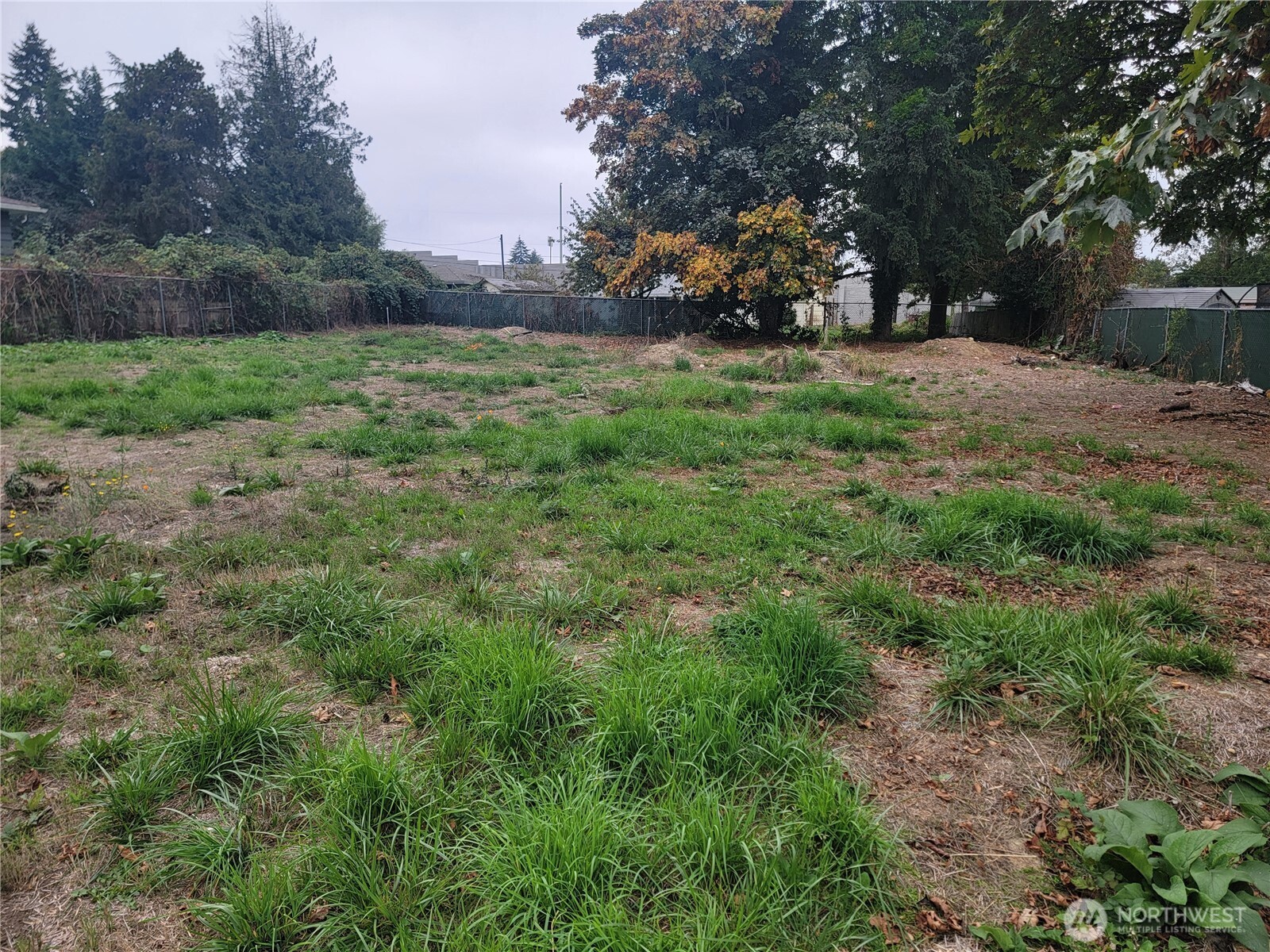 21200 Parcel #1022049138 Military Rd Road Property Photo 1