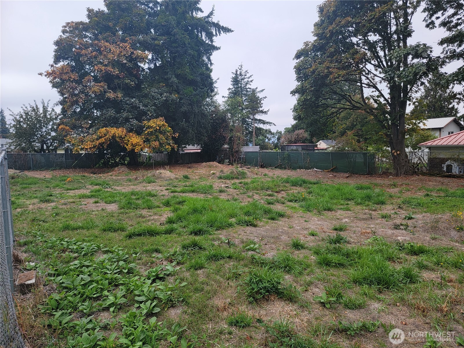 21200 Parcel #1022049138 Military Rd Road Property Photo 2