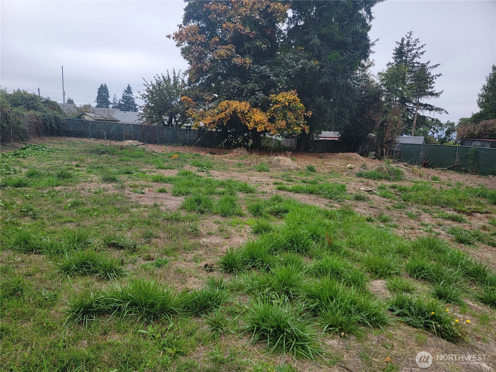 21200 Parcel #1022049138 Military Rd Road Property Photo 3