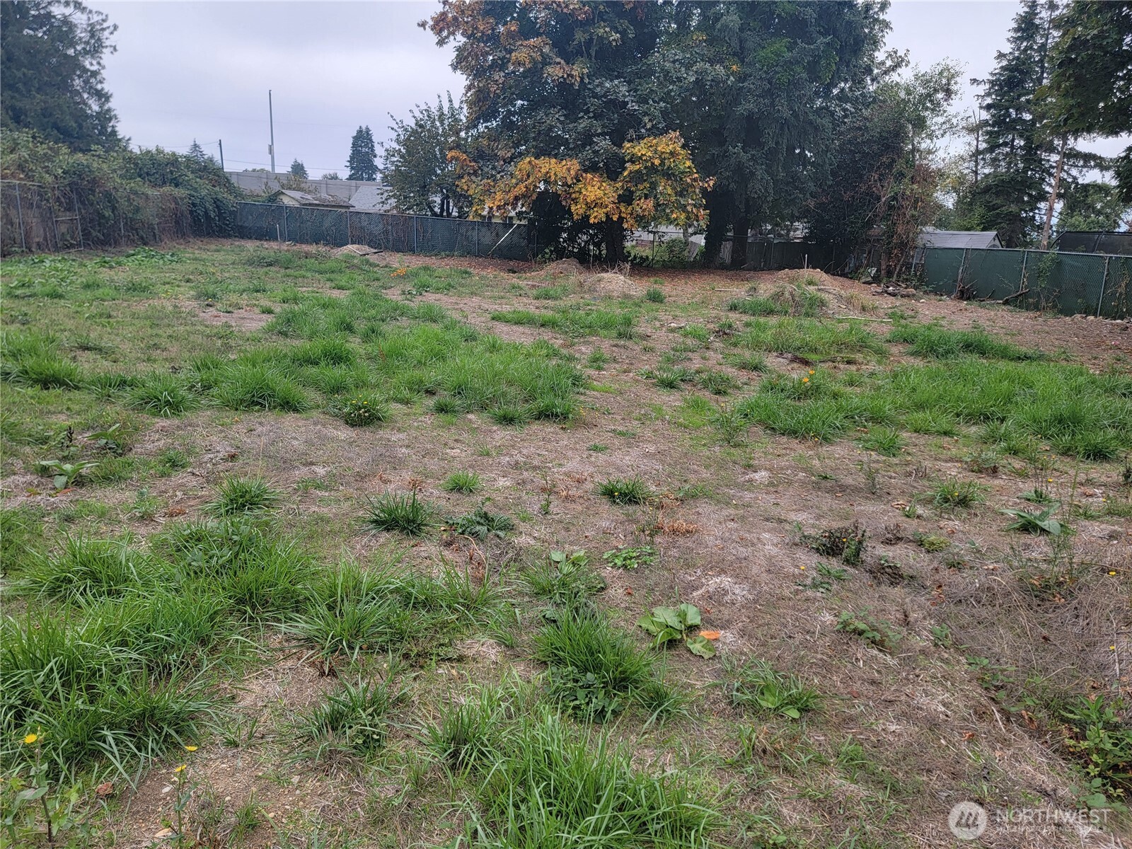 21200 Parcel #1022049138 Military Rd Road Property Photo 4