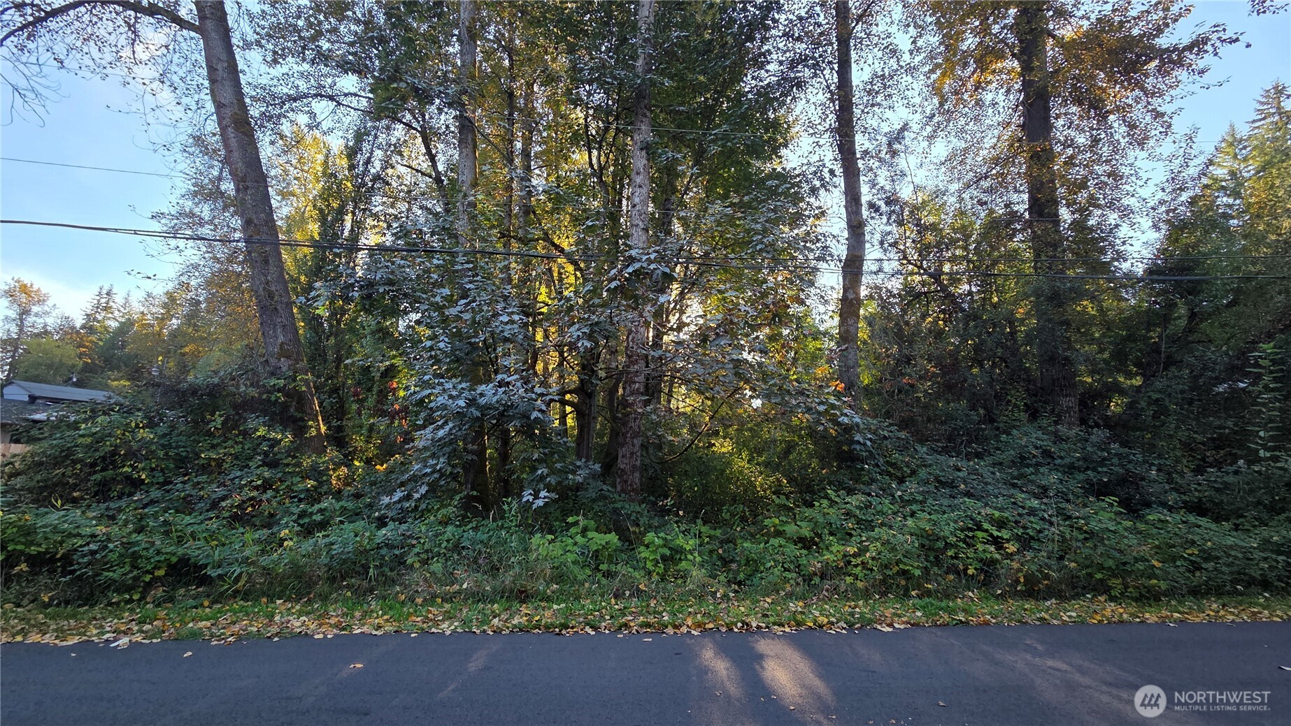15323 207th Place Property Photo 1