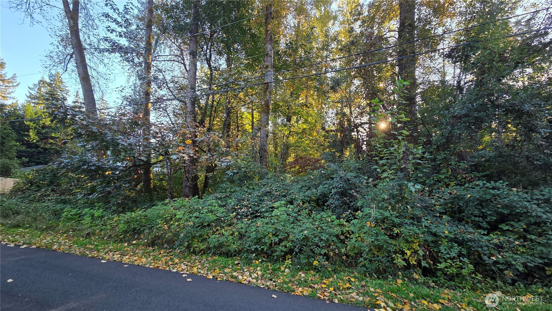 15323 207th Place Property Photo 2