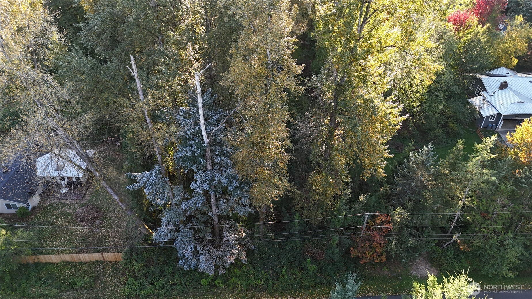 15323 207th Place Property Photo 5