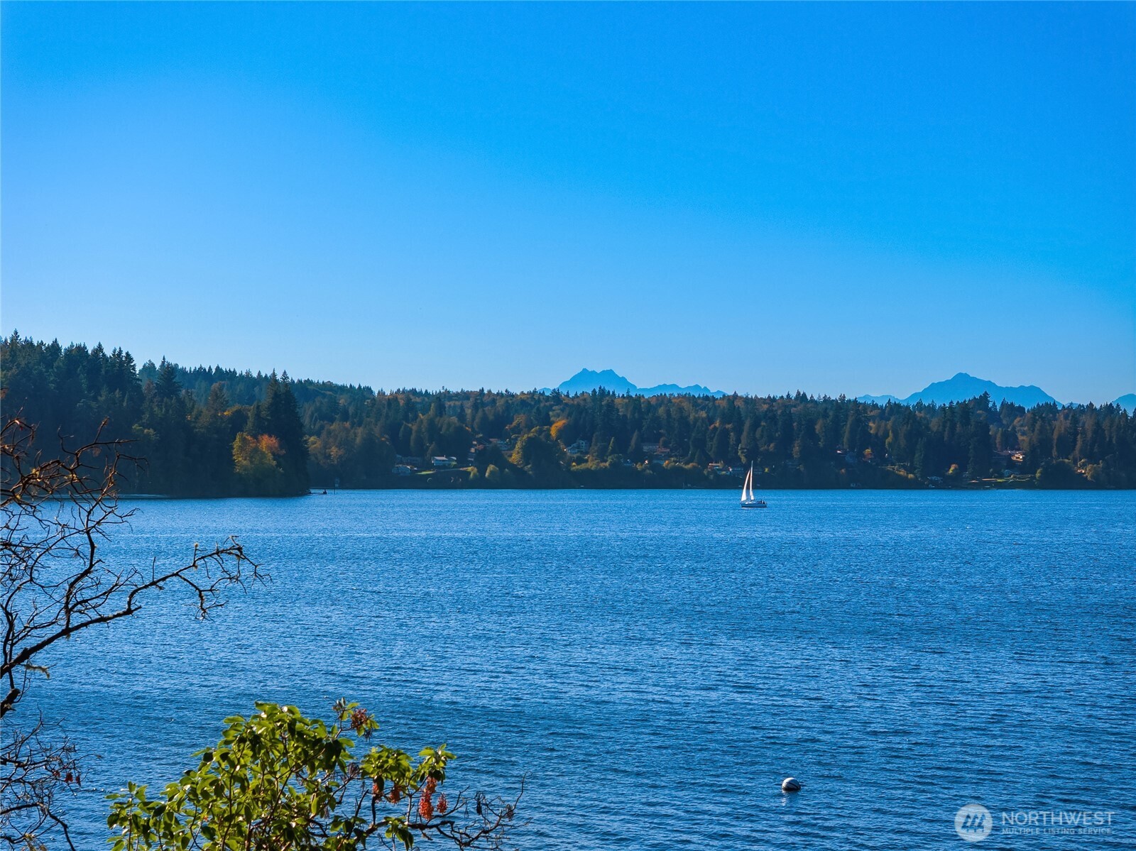 8405 Hansen Road Property Photo 31