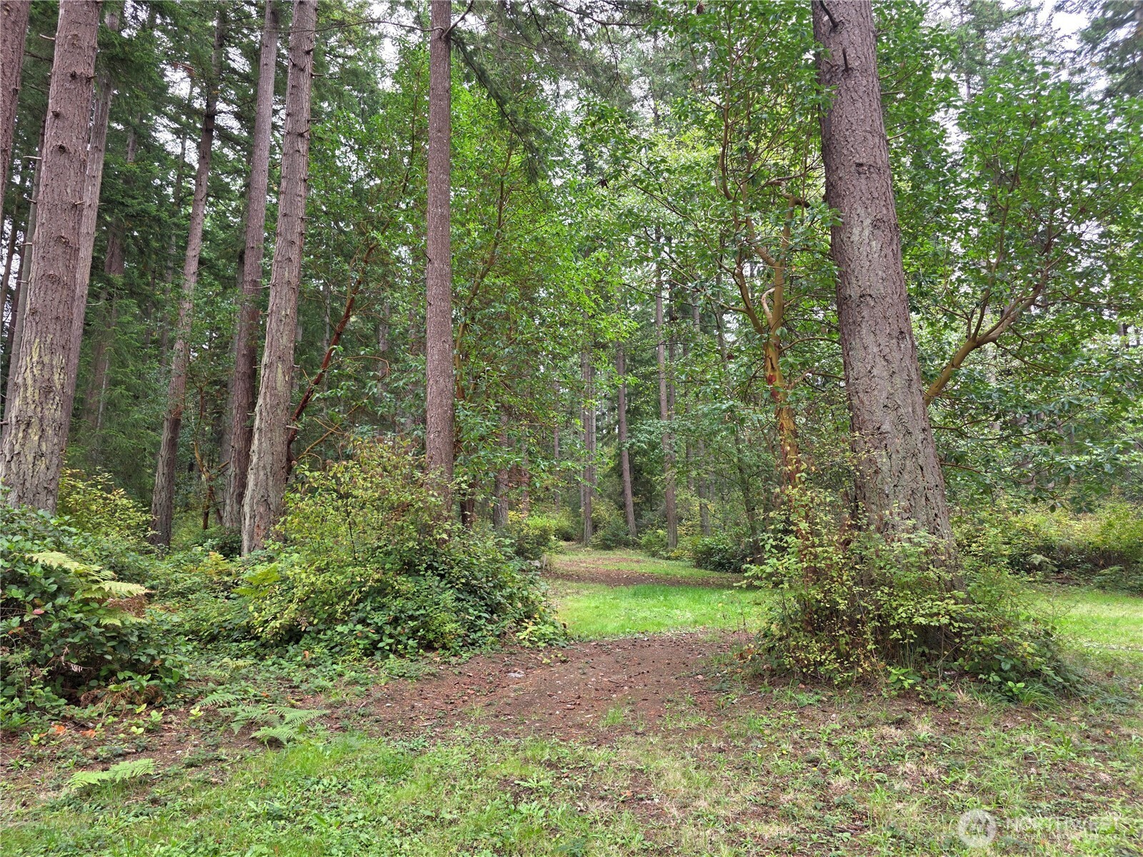167 Barnum Point Road Property Photo 24