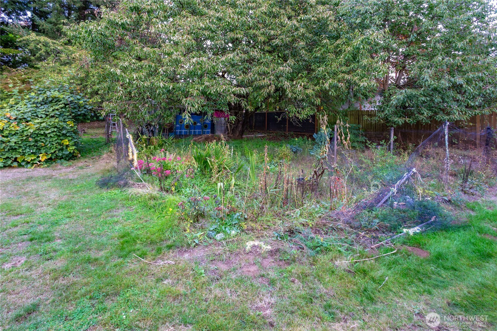 1248 Lattimore Road Property Photo 32