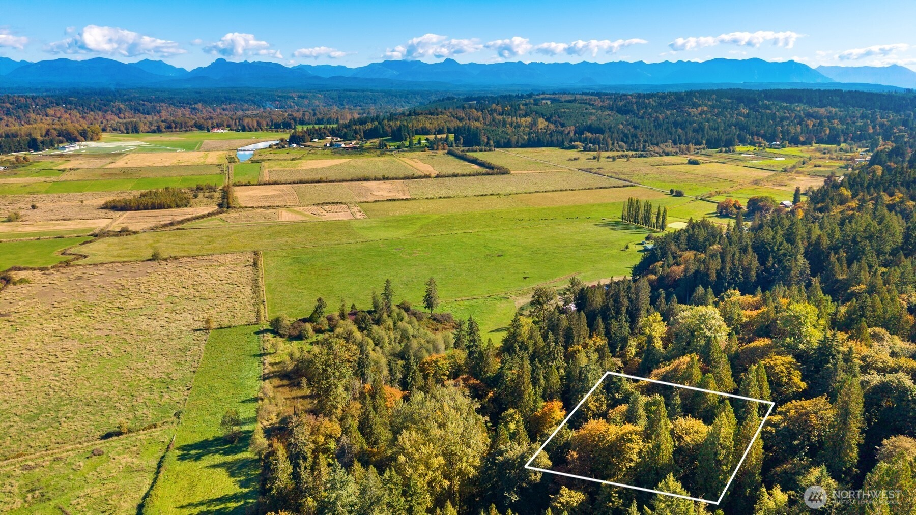 8801 W Snoqualmie Valley Road Property Photo 2