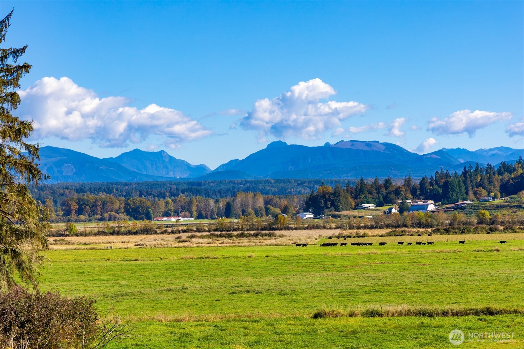 8801 W Snoqualmie Valley Road Property Photo 7