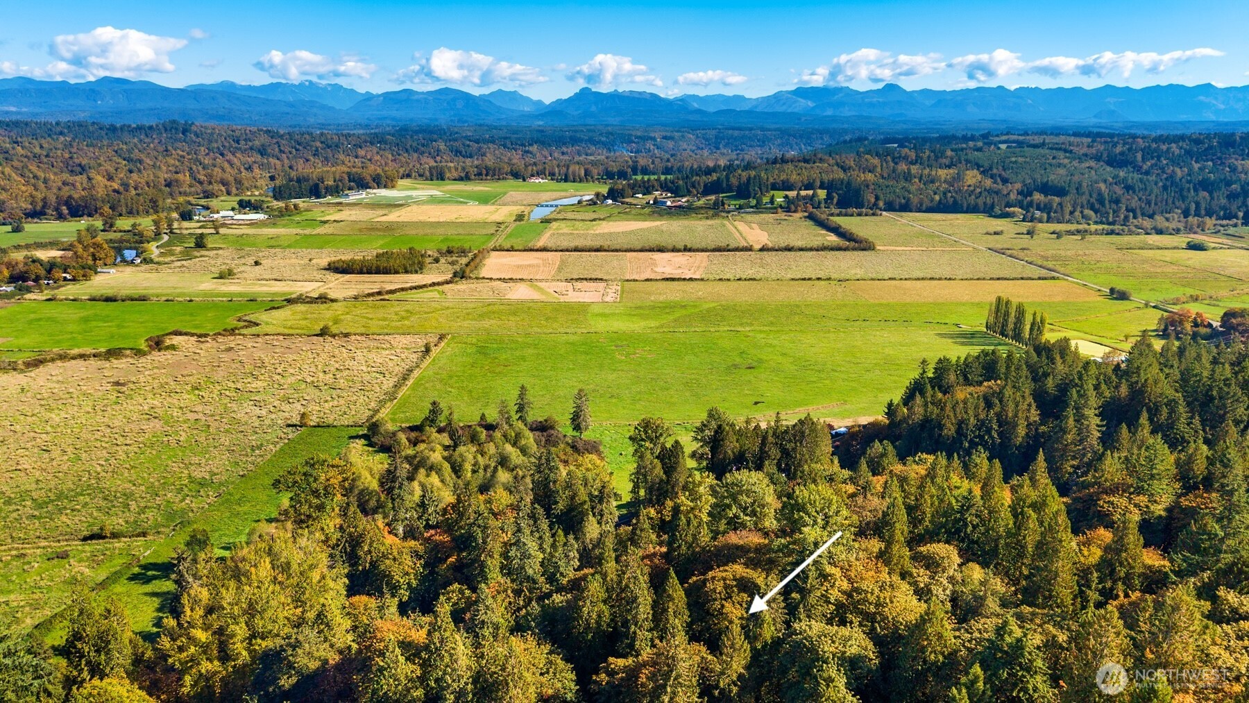8801 W Snoqualmie Valley Road Property Photo 8