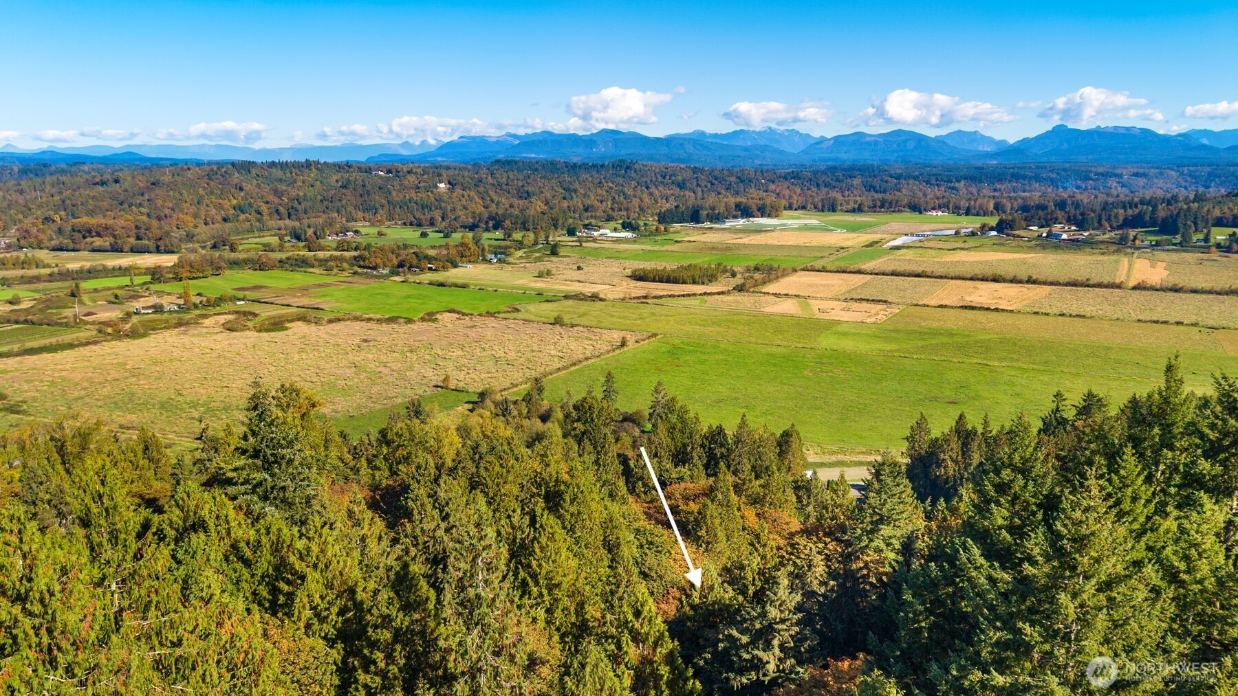 8801 W Snoqualmie Valley Road Property Photo 9