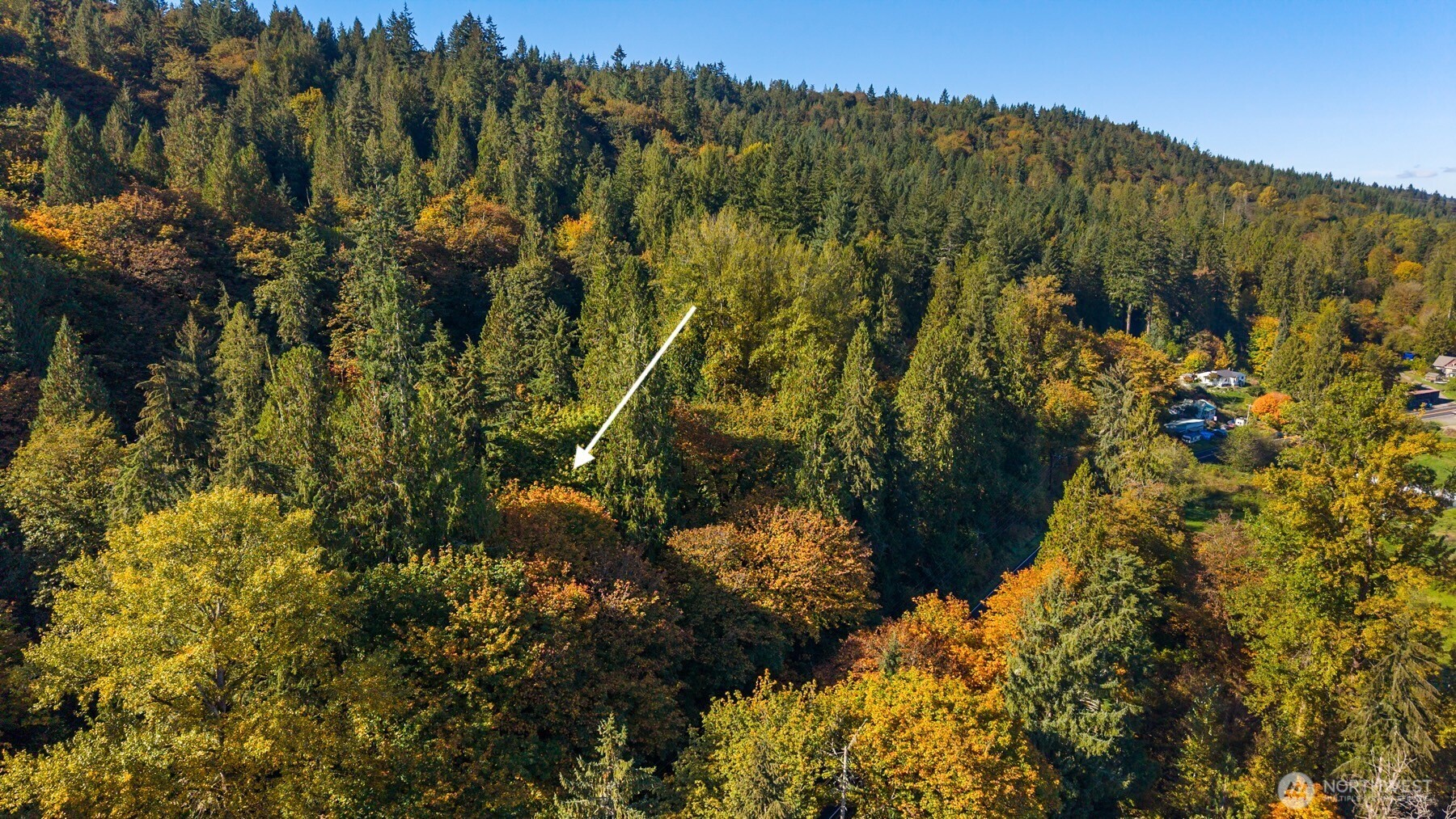 8801 W Snoqualmie Valley Road Property Photo 10