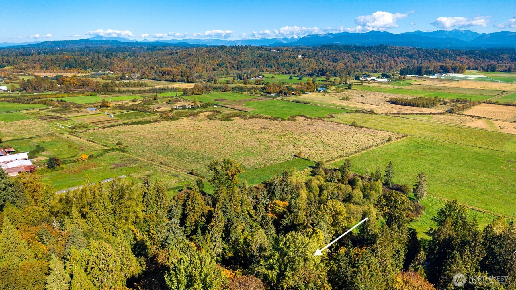 8801 W Snoqualmie Valley Road Property Photo 11