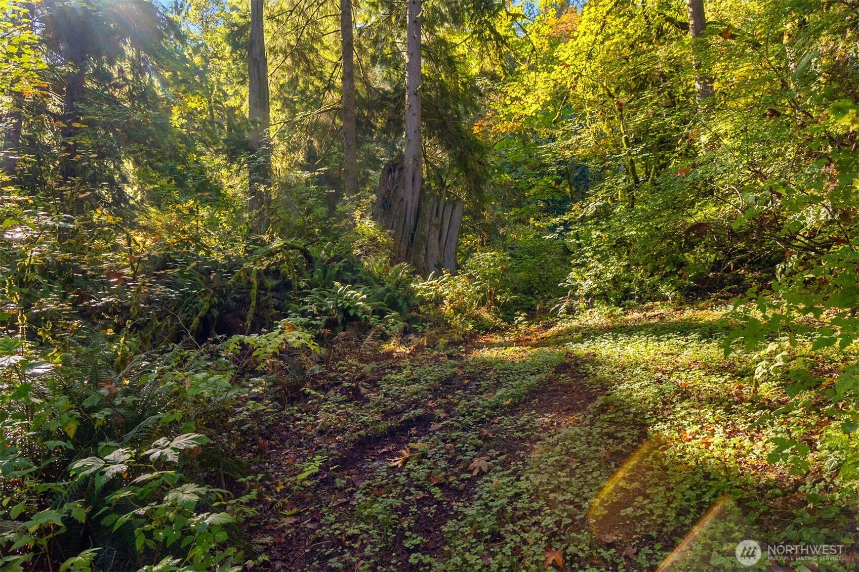 8801 W Snoqualmie Valley Road Property Photo 12
