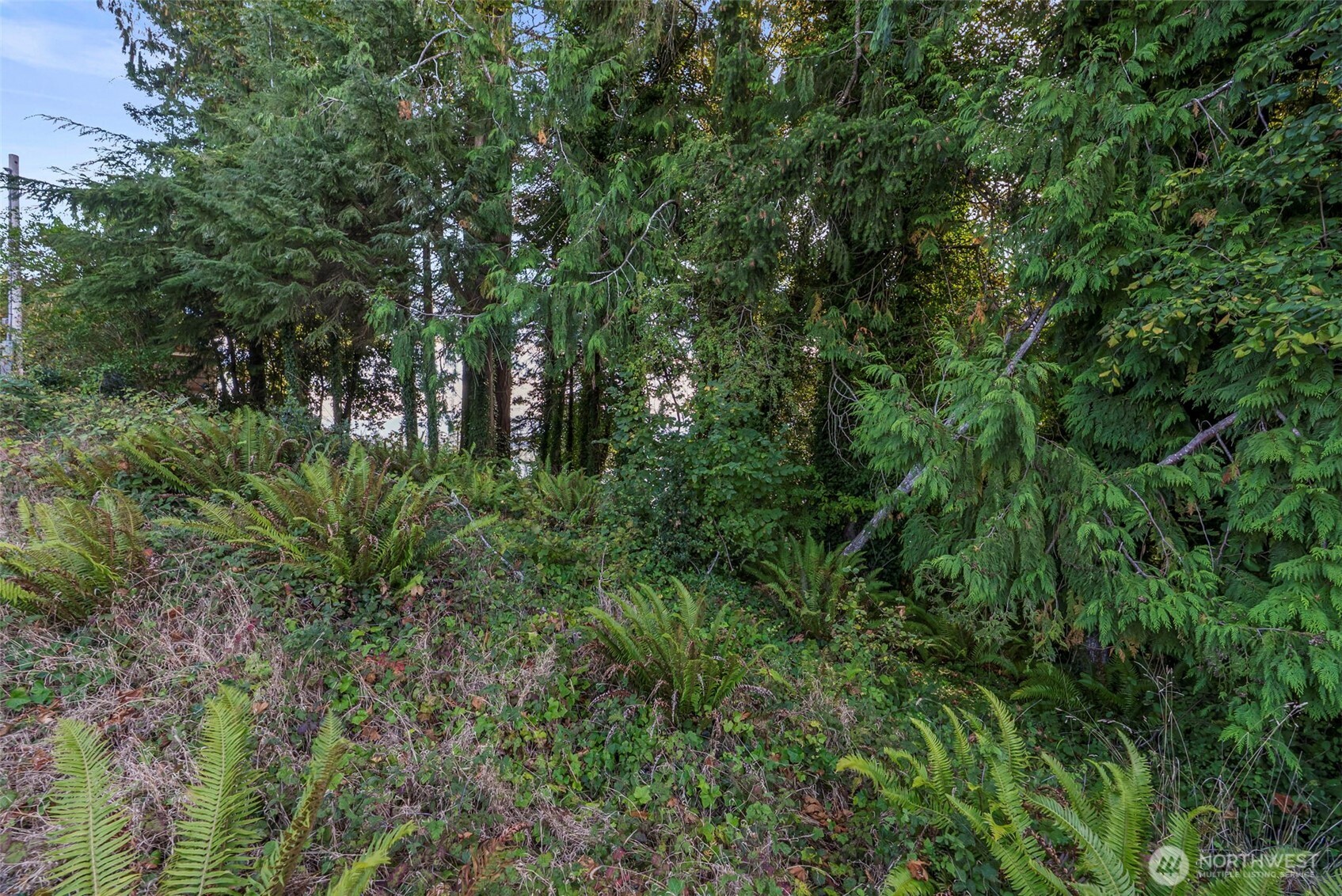 620 Columbia Street Property Photo 9