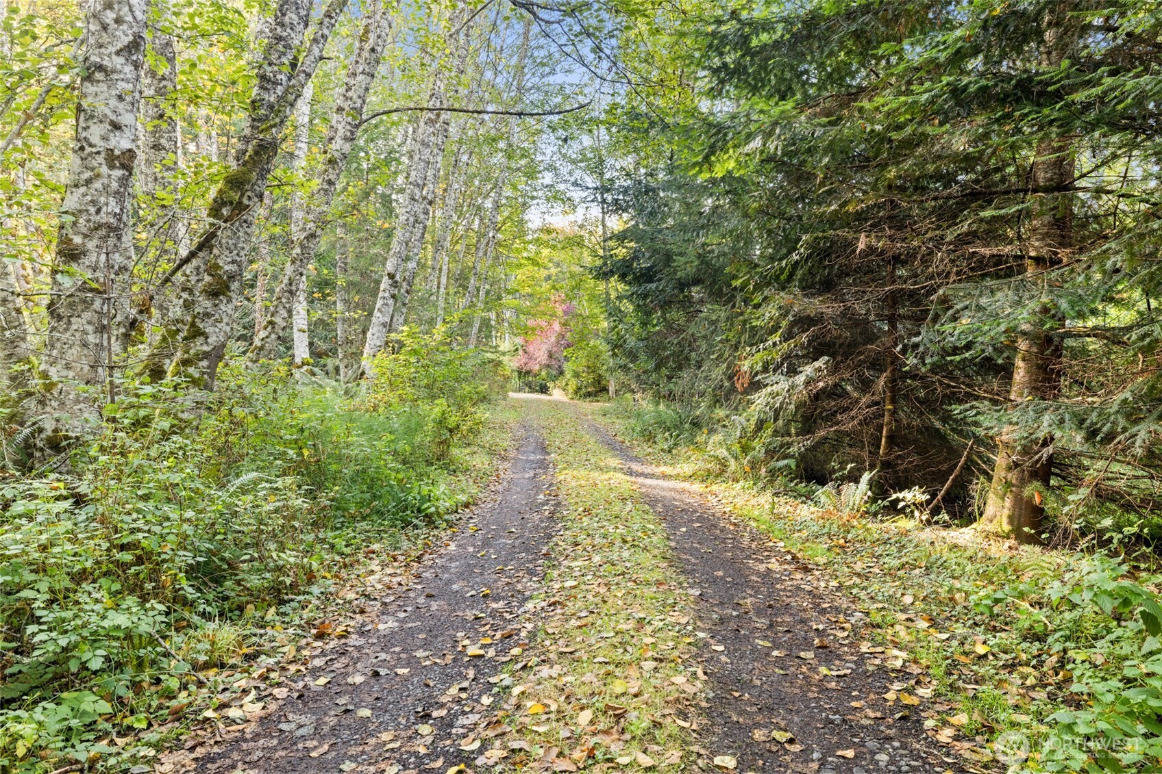1388 E Elliot Creek Road Property Photo 3