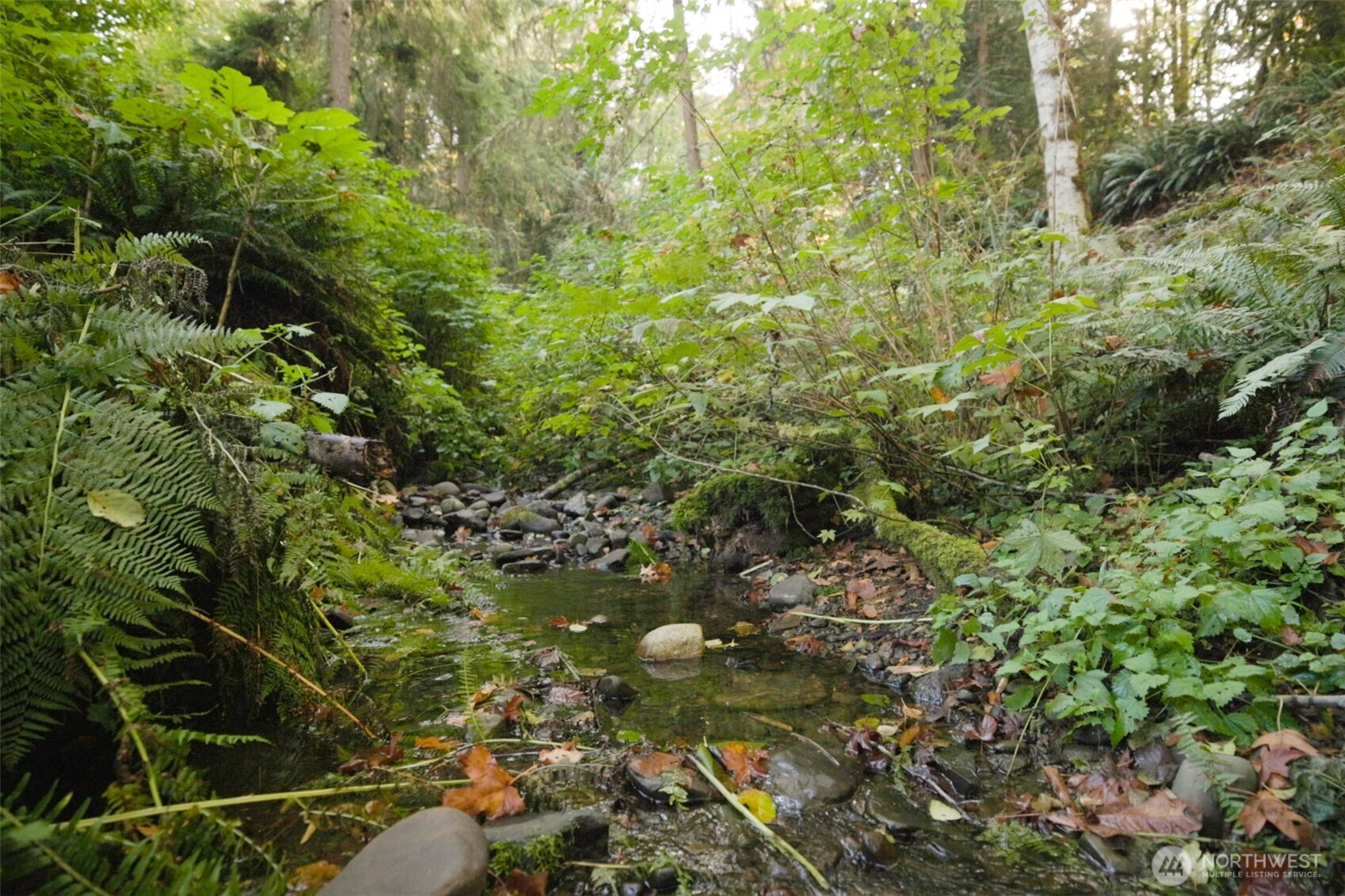 1388 E Elliot Creek Road Property Photo 4