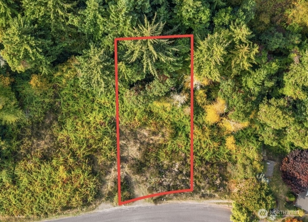 25724 Gold Beach Drive Property Photo 2