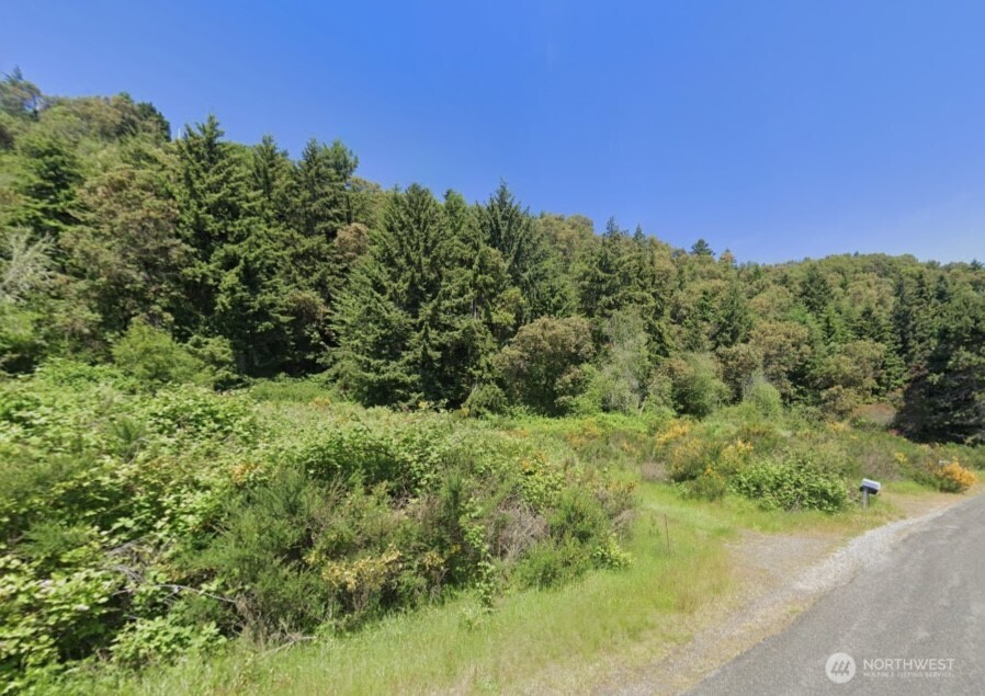 25724 Gold Beach Drive Property Photo 17