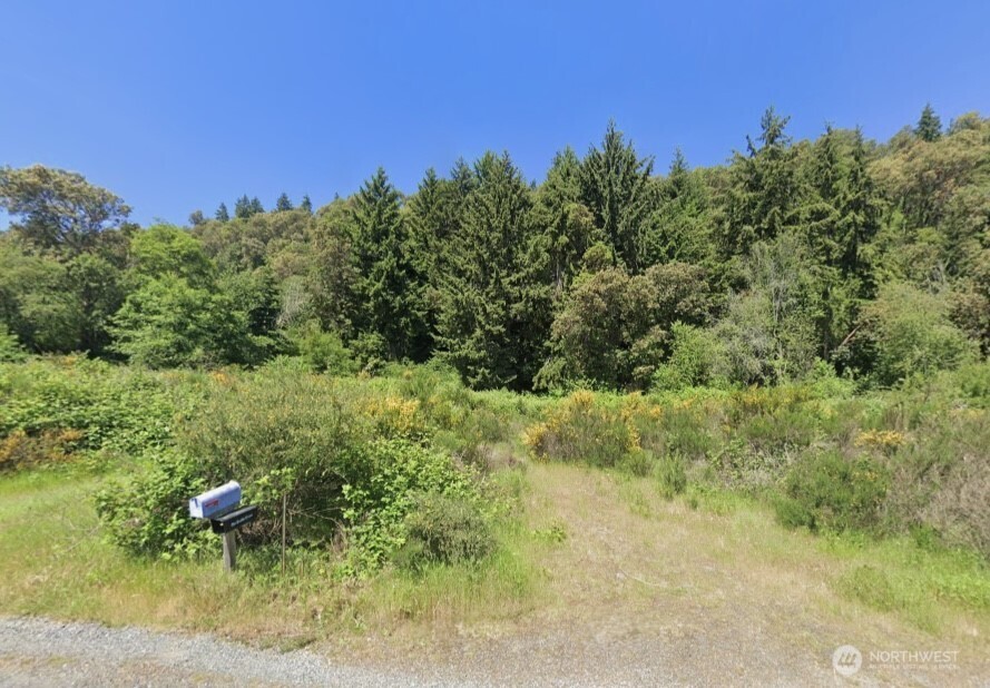 25724 Gold Beach Drive Property Photo 18