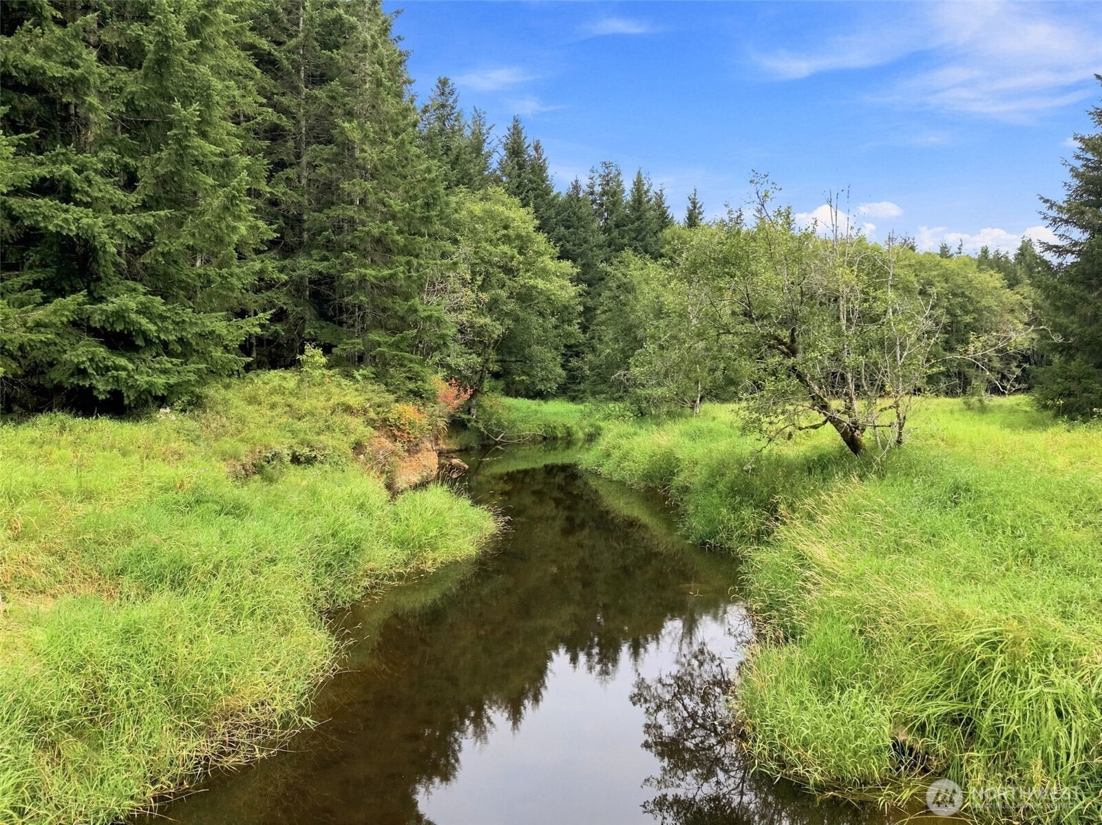 0 Elk Creek Road Property Photo 6