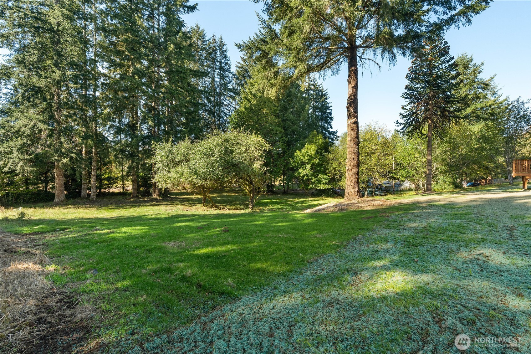 35 Packard Lane Property Photo 23
