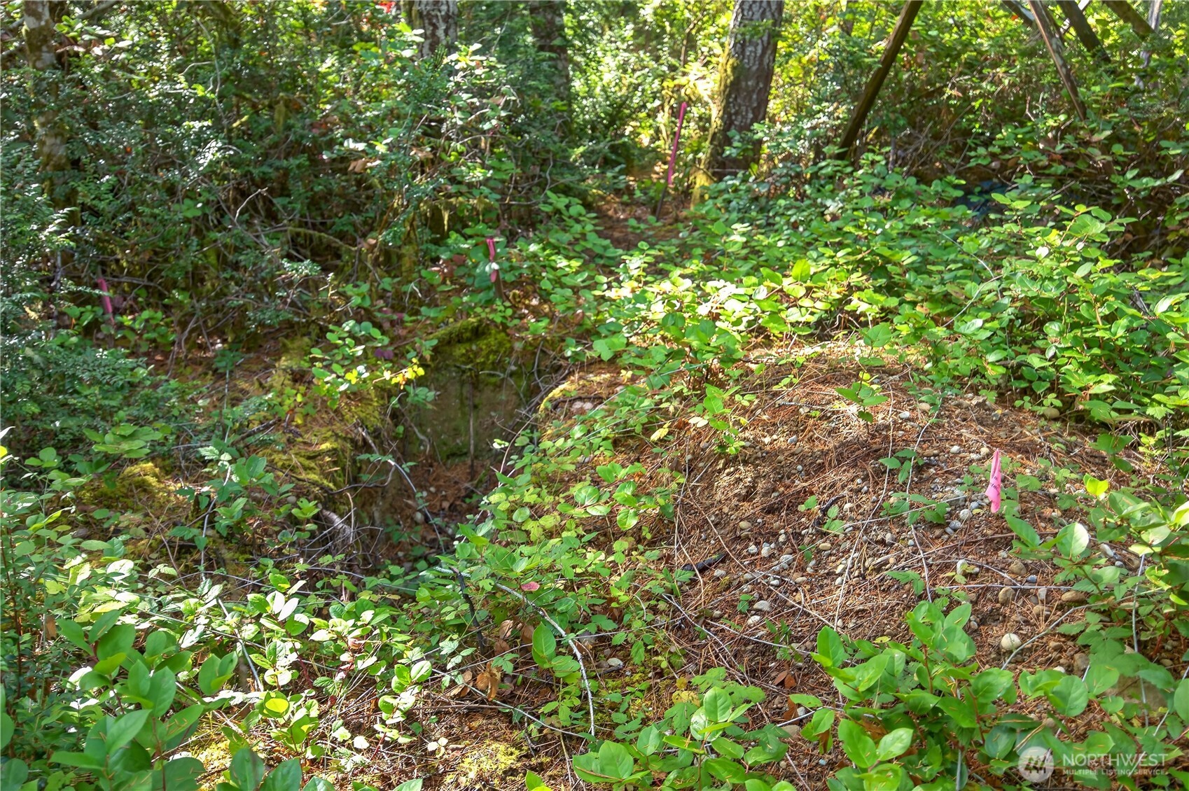 1420 E Timber Tides Drive Property Photo 12