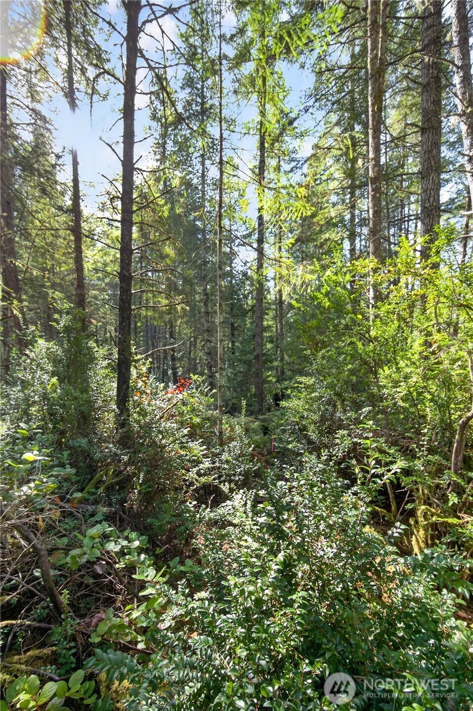 1420 E Timber Tides Drive Property Photo 13