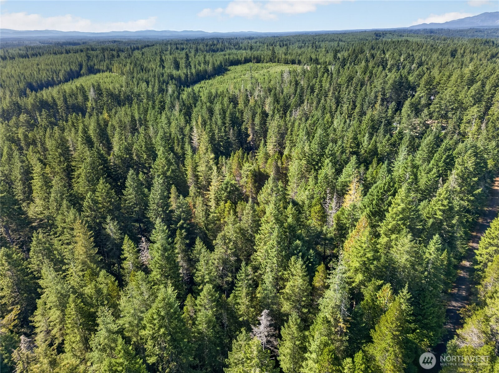 1420 E Timber Tides Drive Property Photo 15