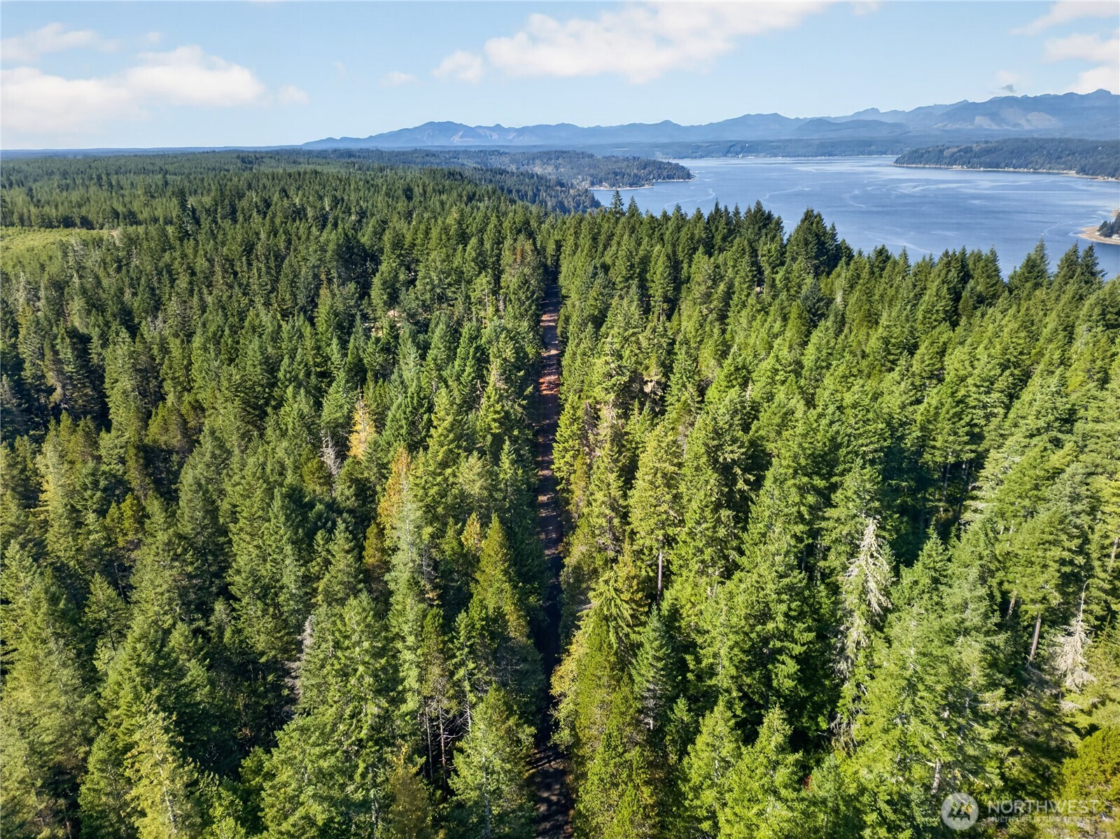 1420 E Timber Tides Drive Property Photo 16