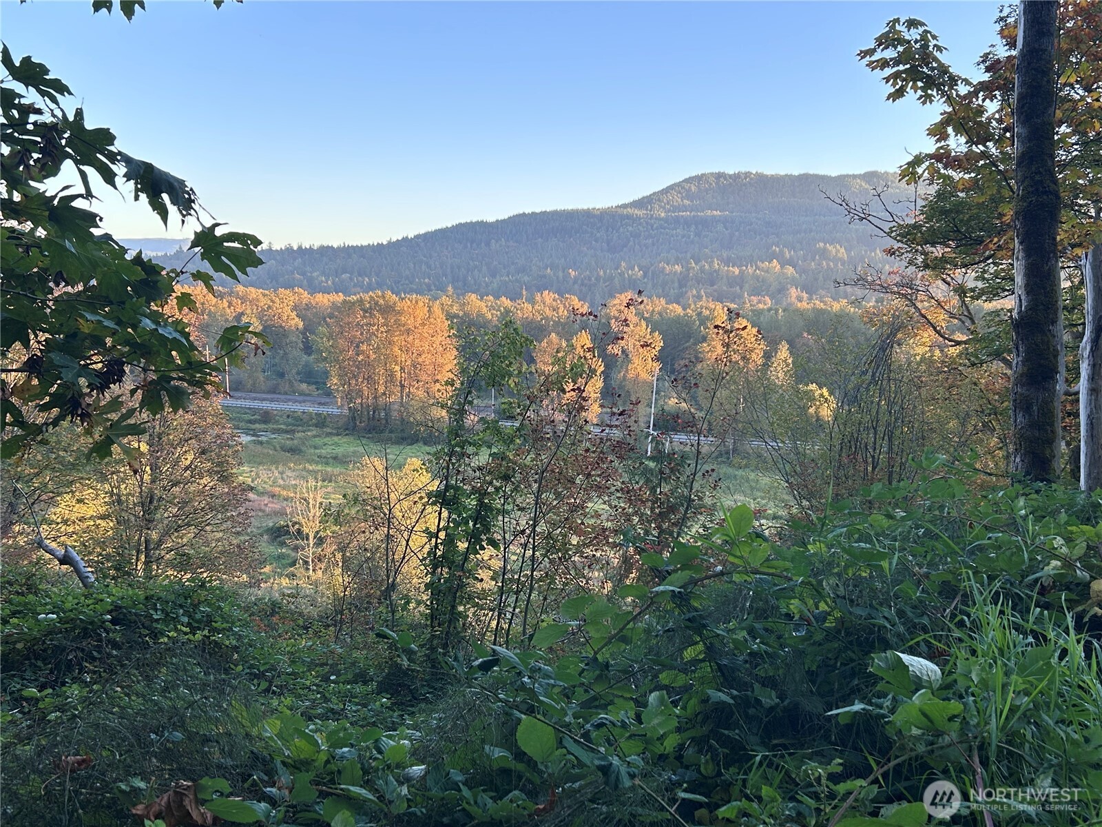 0 Fern Bluff Road Property Photo 1