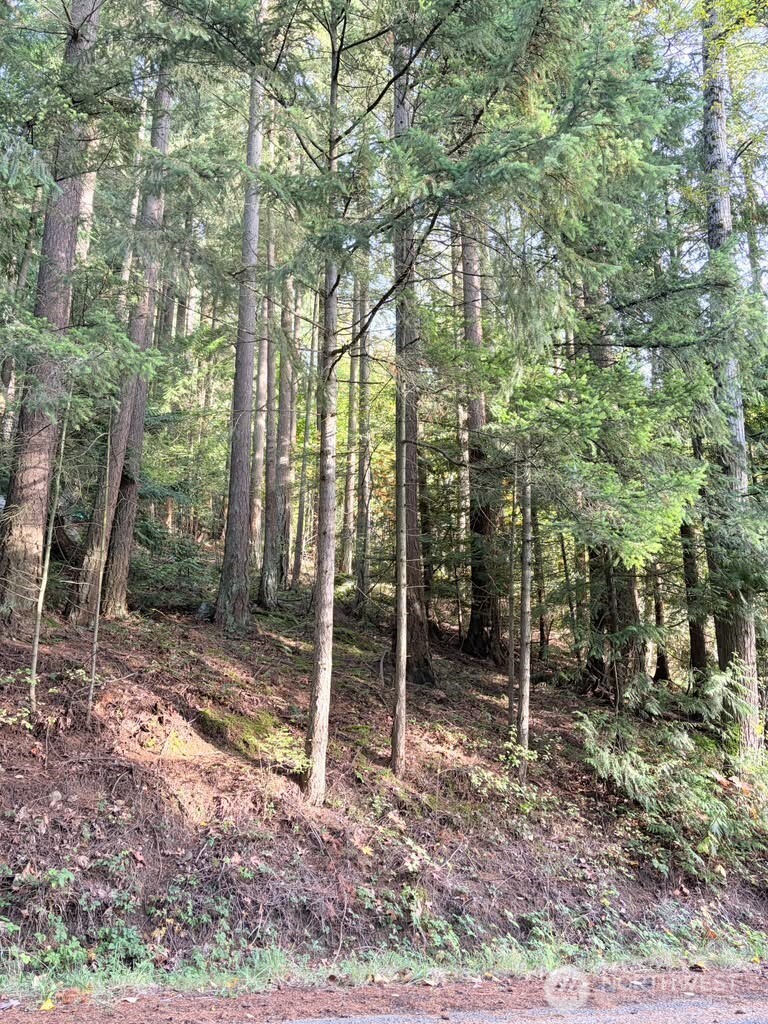 0 Xxx Emerald Lake Lot# 122 Way Property Photo 1